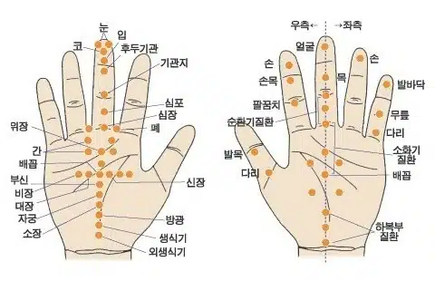 손마사지기 추천 Pick 7 구매 팁 2022 8 손바닥 지압점