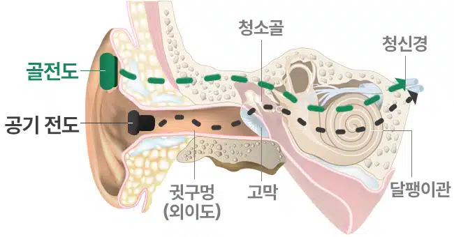 Pick 7 골전도 이어폰 추천 2023 장단점 1 골전도 소리 전달 경로