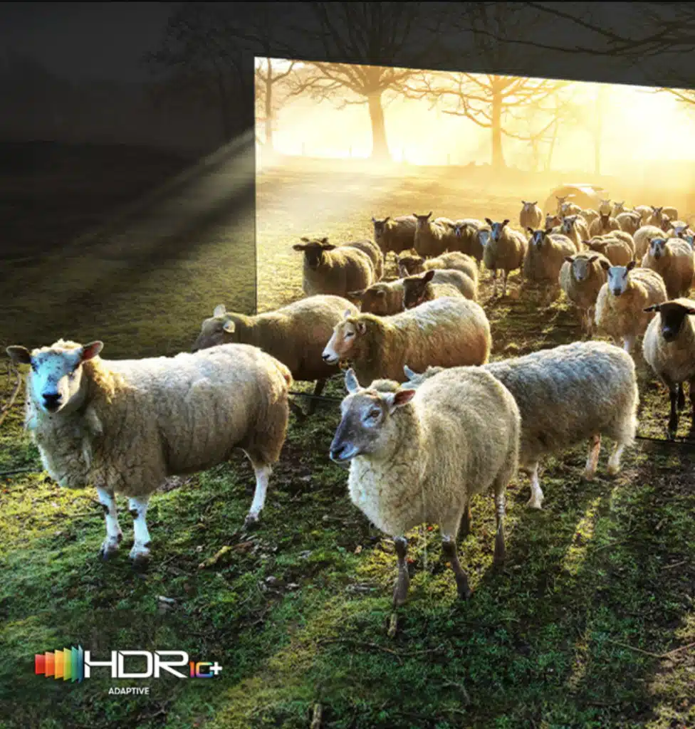 2023 삼성 Neo QLED TV 추천 Pick 7 가이드 5 HDR10+