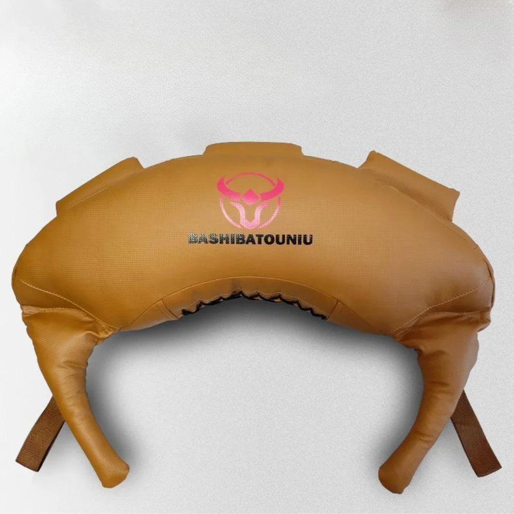 홈 헬스 기구로 운동 효과 극대화하는 법: 추천 TOP5 3 불가리안백 30kg 모래 주머니 홈 헬스 근력 중량 운동 백 스쿼트